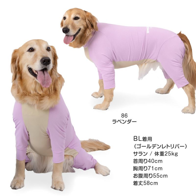 ドッグプレイ(R)吸水速乾防蚊ラッシュガード(大型犬用)