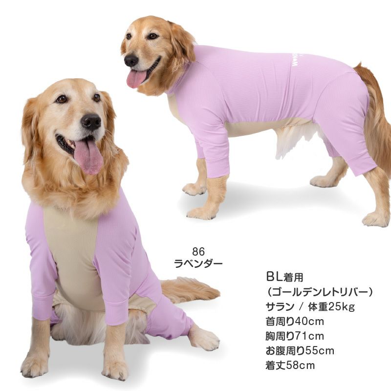 ドッグプレイ(R)吸水速乾防蚊ラッシュガード(大型犬用)