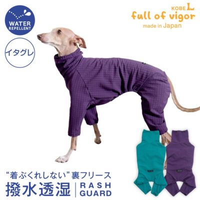 イタグレ服 イタグレウェア イタリアングレーハウンドの服 ラッシュ